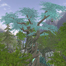 Thumb 6791125f1b25f009a4d0c0a5