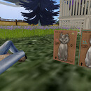 Thumb 67919b456a4ea513285fc270