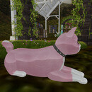 Thumb 67cd101674b5714e4ac78be1