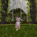 Thumb 67cd106b63ba0e6db620c66f