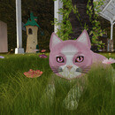 Thumb 67cd10d367199b54639026f0