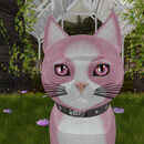 Thumb 67cd11ae1711e74718a7d082