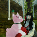 Thumb 67cd135fa35fe742155040e5