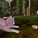 Thumb 67d79f3b59dad4541da1457b