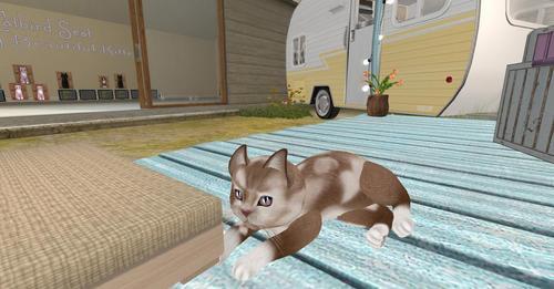 Web 62843661972bb66bb95db03b