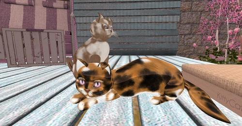 Web 6327a176a4e9e55fb48ccc05