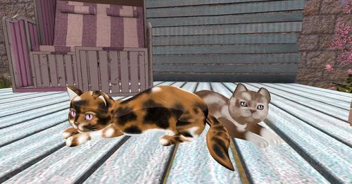 Web 6327a1aeab0058311e5e31b5