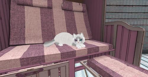 Web 6327a267e6a5a03c998d4dc4