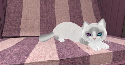 Web 6327a27ce6a5a03d758d4dc4