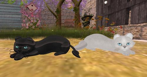 Web 6327a337ea25246f32c44c75