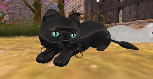 Web 6327a34065b54303de746262