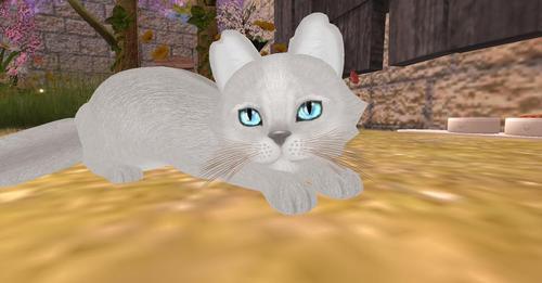 Web 6327a357a945e74cac27660e