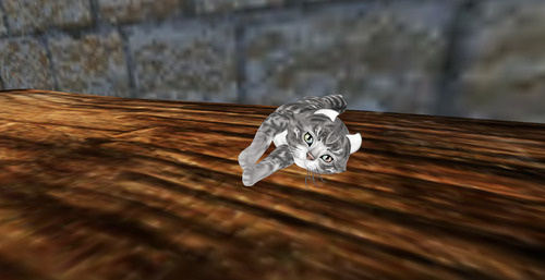 Web 670c35285e59115b66e75162