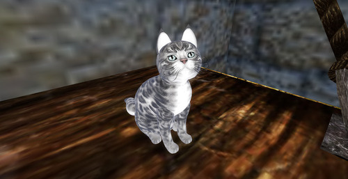 Web 670c35d73ddf1e39e1c0695e