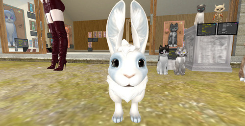 Web 67254a7f0de77a71565604d2