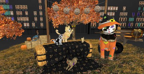 Web 672599c42d498e146f84b659