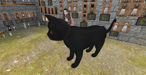 Web 672a3f5f59dad453d3a1457b