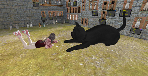 Web 672a3f7941deb67e90392b82