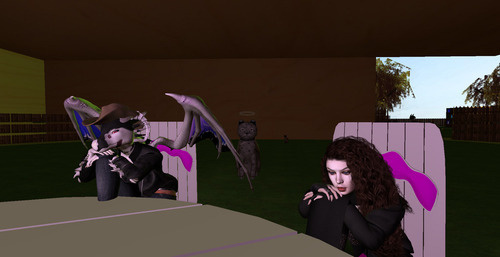 Web 672fb34263ba0e01ba20c66f