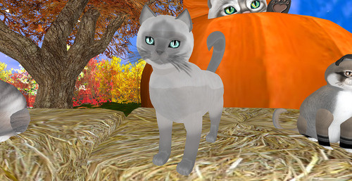 Web 6730bf0d41deb6111a392b82