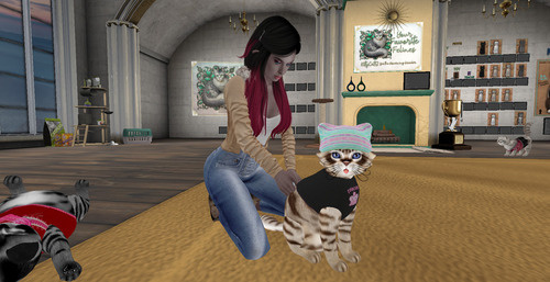 Web 6791a6b774b5713ba3c78be1