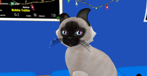 Web 679d5d793ed4fb71bff3f1c2