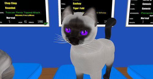 Web 679d5de8bf51744173805d38