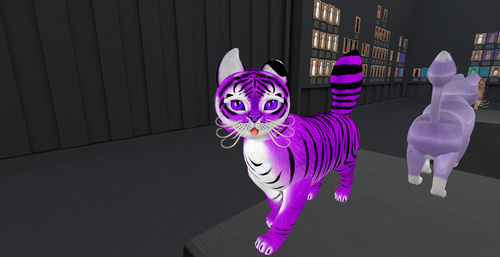 Web 679d61e1630f07254f59cc7c