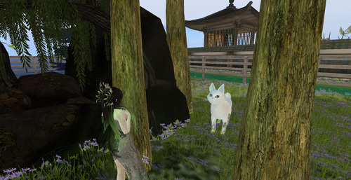 Web 679e787fcada5c5fa5bba7e1