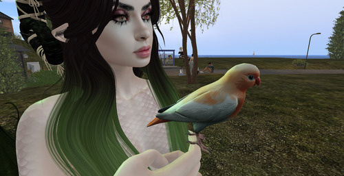 Web 679ea7d71711e7556ca7d082