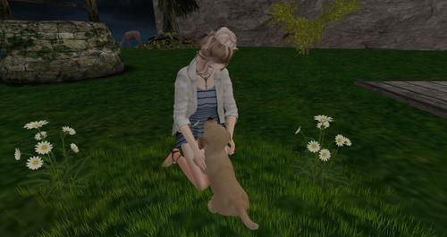 Web 60fb8cbb1d612a01e570919d