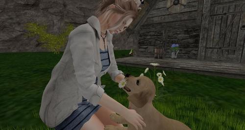 Web 60fb8d4167f1977b1d248497