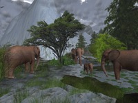 Small 56891768128cc94aa4000001