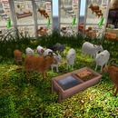 Thumb 50b20f01784fb62d73000001