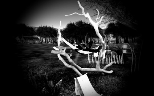 Web 564e8a273f942f7342000001