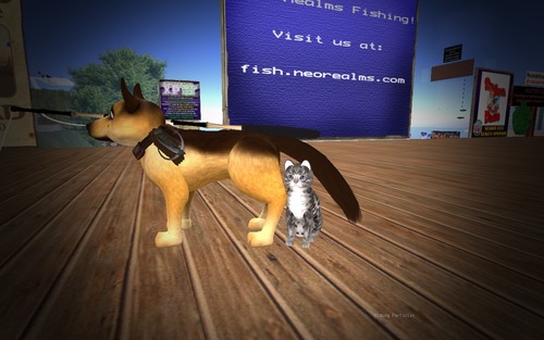 Web 56db573ff8a1ec0c88000001