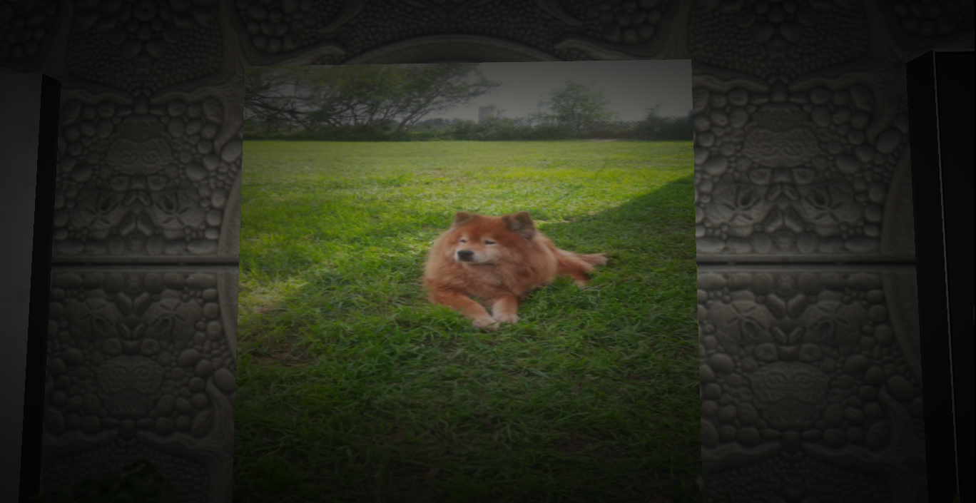 Original 56caad2a9934e02a30000001