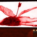 Thumb 54e00332a73e217e69000001