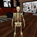 Thumb 54e003498da5723905000001