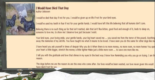 Web 56caa8af3f942f709a000001