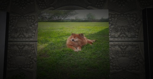 Web 56caad2a9934e02a30000001