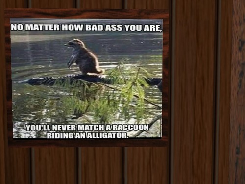 Web 58521355f8a1ec3e23000001