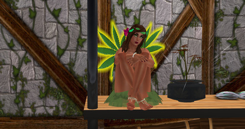 Web 66fe31a782907942eff46d5c