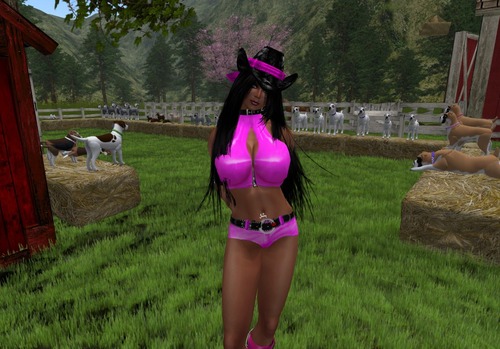 Web 4f79a04694759b36a3000001