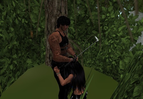 Web 4f7b7f612c446960cc000001