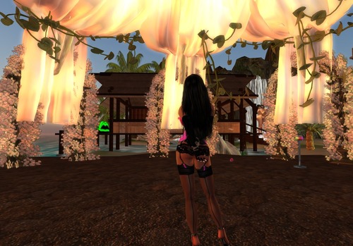 Web 4fe51323ccce2e0a71000001