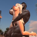 Thumb 5523a163a73e214943000001