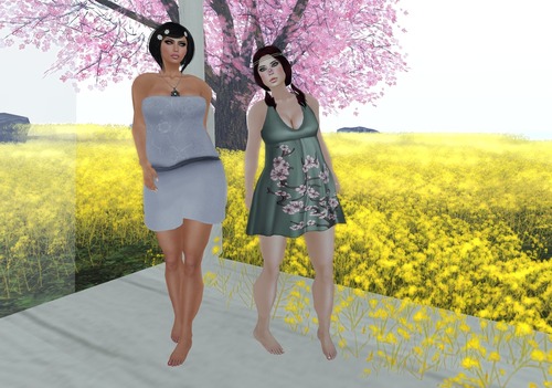 Web 514a57ef503de26ff5000001