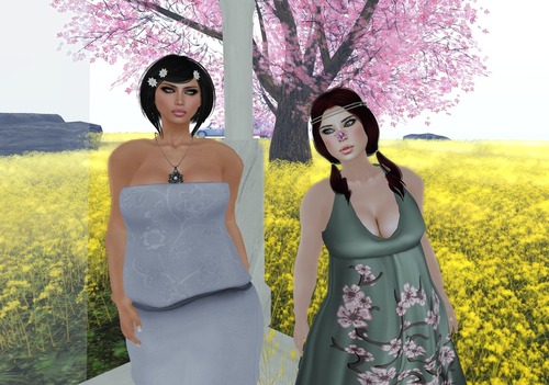 Web 514a5877b03f905609000001