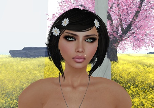 Web 514a58c487fbed622d000001